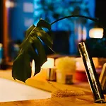 Nyulaszo Vendeghaz Studiolakas Апартаменты *