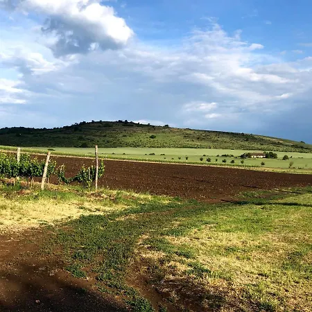 Nyúlászó Stúdiólakás *