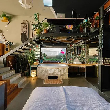 Nyúlászó Stúdiólakás *