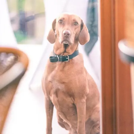 Nyúlászó Stúdiólakás Apartman *