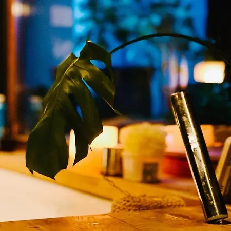 Nyúlászó Stúdiólakás Apartman *