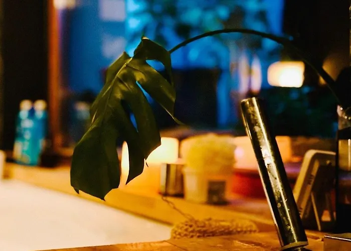 Nyulaszo Vendeghaz Studiolakas Lejlighed *
